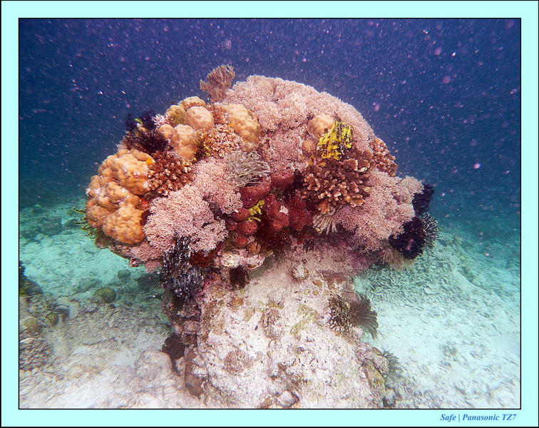 2011 - 08 - Bohey Dulang Island 48